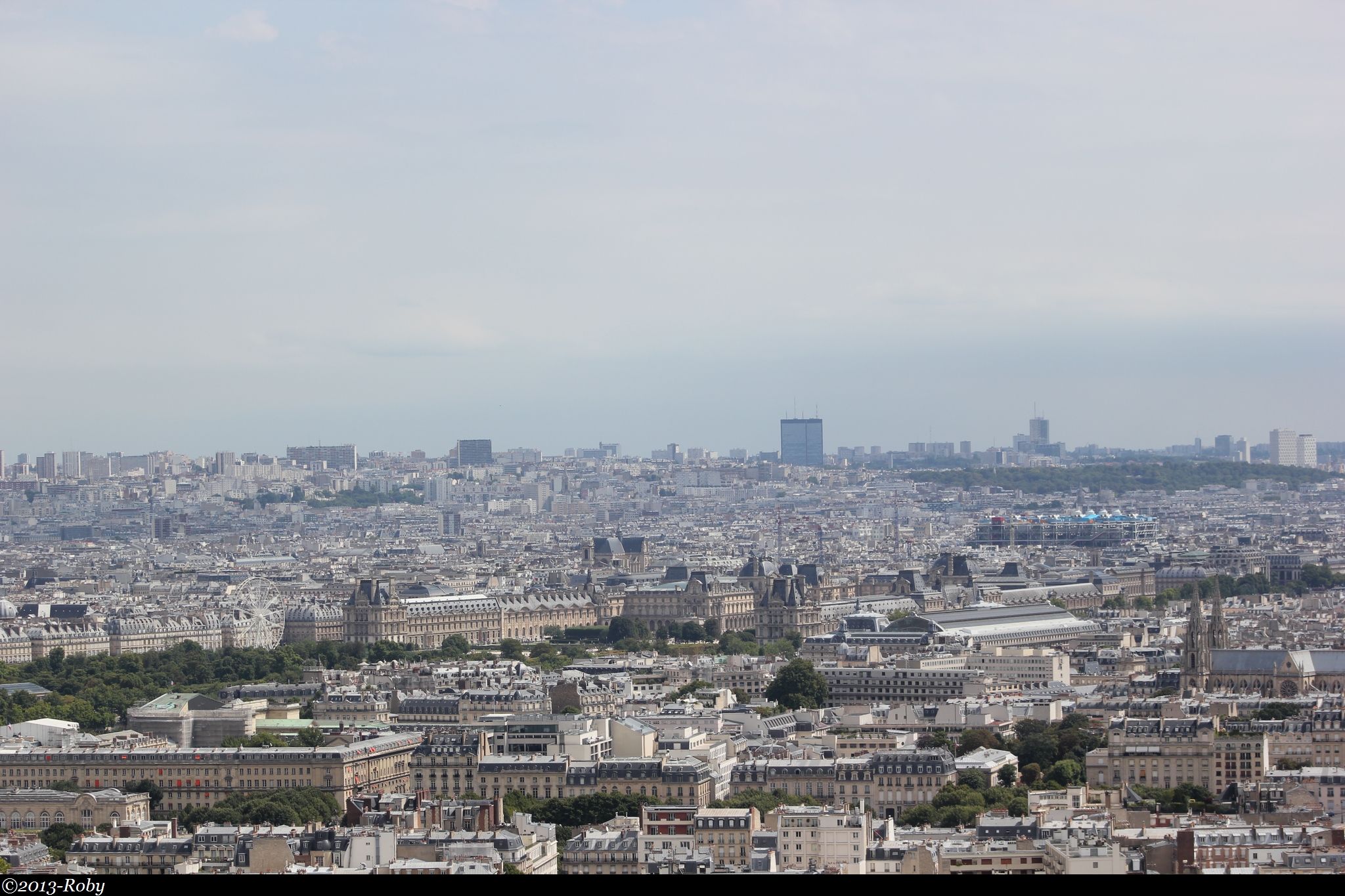 Paris vu des la Tour Eiffel-2013-Roby (15)