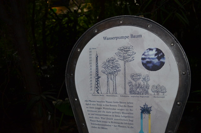 Biosphaere Potsdam Wasserpumpe Baum sign