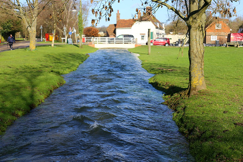 The Nailbourne in full flow