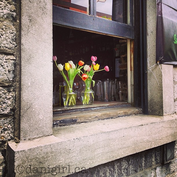 Tulips framed