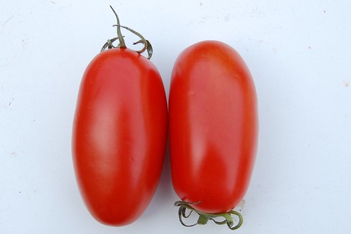 Saveol Torino Plum tomato from the supermarket