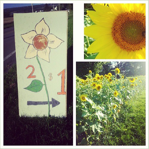 Our kids are open for business! Gorgeous sunflowers 2/$1. Can't beat that deal. :)