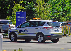 Seattle Premium Outlet Security (AJM NWPD)