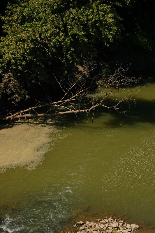 Tyronza River, Earle AR