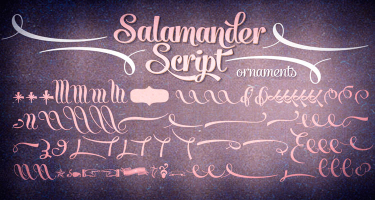 Salamander Script font with ornaments