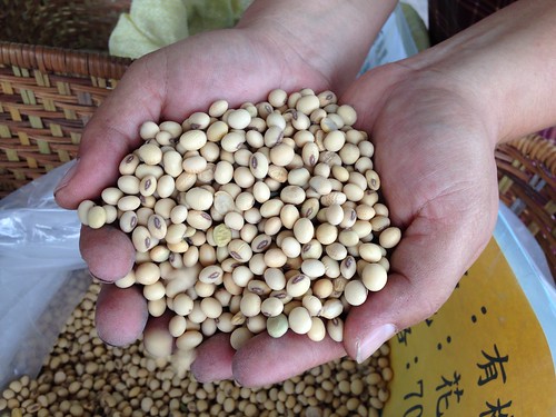 非基改黃豆在市面上少的可憐。圖為產自花蓮的有機、非基改黃豆。
