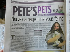 Thatsit was featured in the weekend Herald (p. 24, Pete's Pets, Saturday 30/11/2013)