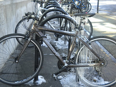 D.C. bikes in winter