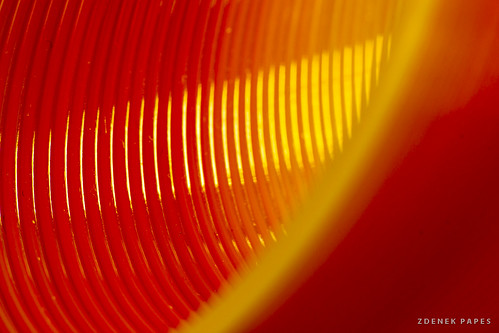 red and yellow by Zdenek Papes