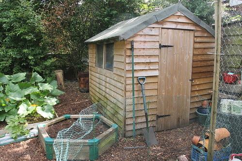 Our shed before
