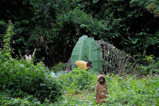 5.- Tambores, cantos polifónicos y espíritus - Pigmeos y Gorilas, un paseo por la selva centroafricana (2)