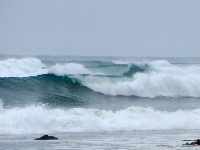 friday swell