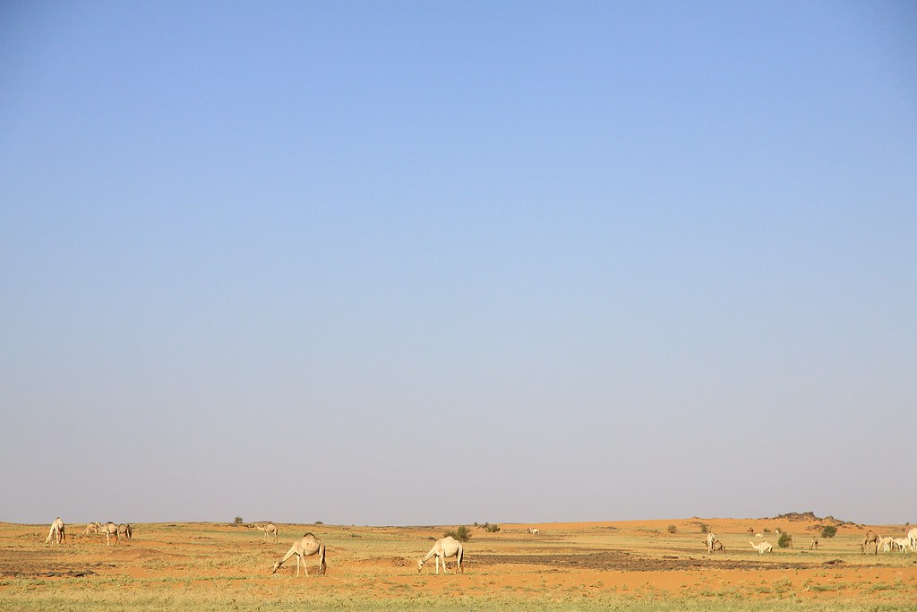 North Sudan