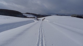 x-country ski