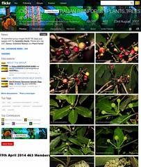 39,000 Images, 15th April 2014 - IDENTIFYING AUSTRALIAN RAINFOREST PLANTS,TREES and FUNGI Flickr Group