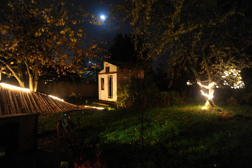 The downed fence, shed, backyard, under the moon, lights, cherry trees, grass, lawnmower, Rosie, Seattle, Washington, USA by Wonderlane