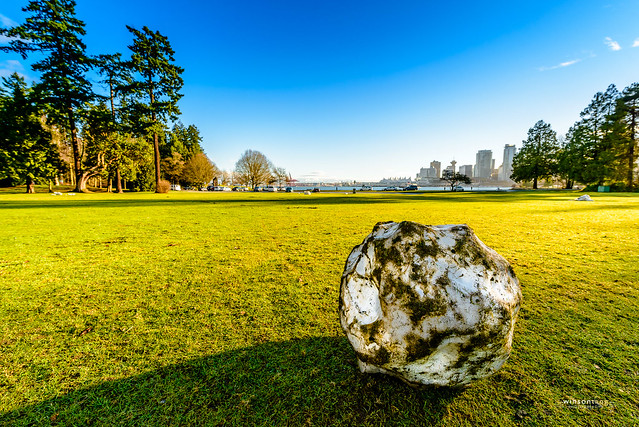 No more snow #vancouver? The last ball of ice sunbathing in the middle of a field in Stanley Park.