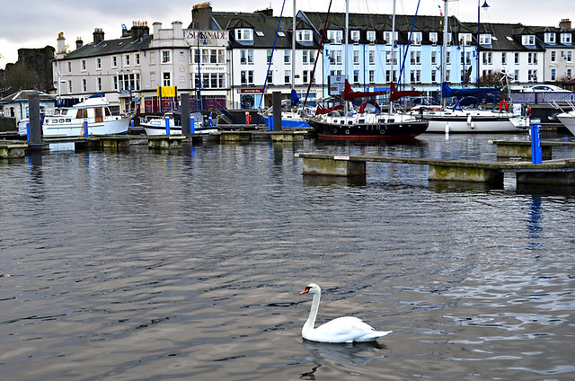 Swan, Rothesay, Isle of Bute, Scotland