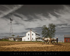 Amish ~ The Plain Folk