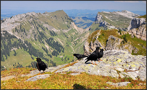 Активный отдых в альпийской осени (Швейцария: Bernese Oberland, сентябрь 2013)