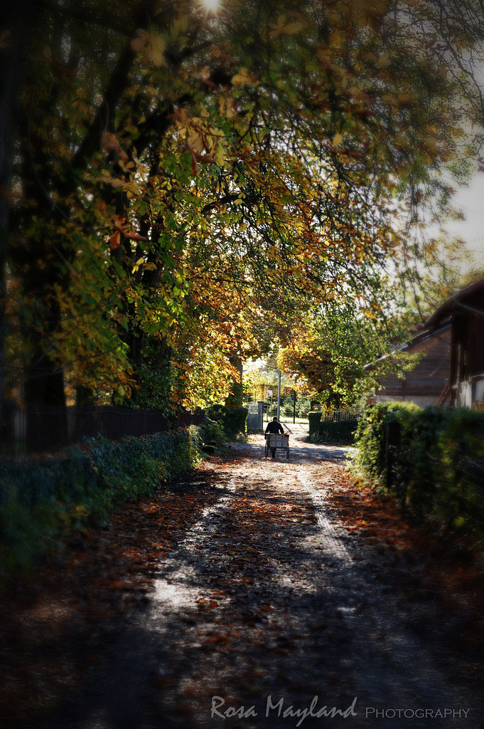 Autumn In Veyrier