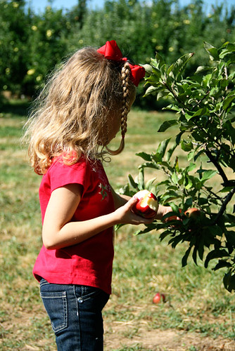 Apple_eating-apple-and-picking