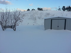 Buried shed in December