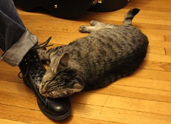 Luciano Loves Shoes