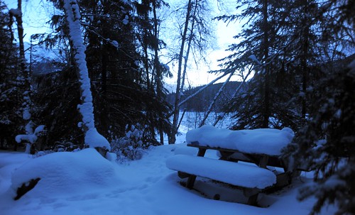 Picnic table covered in snow, Sunrise Island, Sixmile River, hemlock trees, mid-winter, Kenai Pennisula, Alaska by Wonderlane