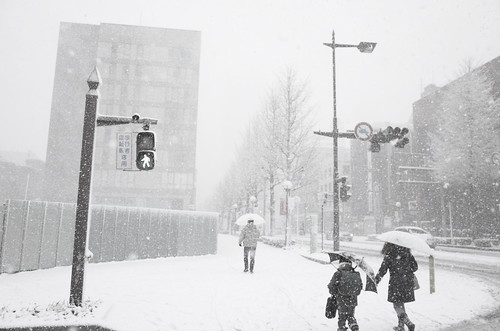 heavy snowstorm at Chiba 02