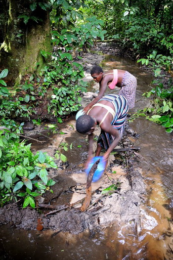 13.- Viviendo la selva - Pigmeos y Gorilas, un paseo por la selva centroafricana (3)