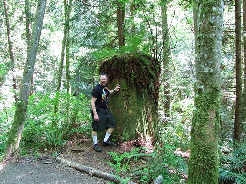 Joshy next to a big stump