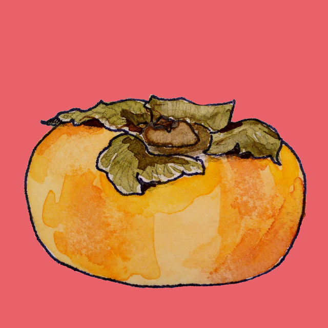 painting of a persimmon