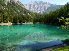 Grüner See   /   Green Lake