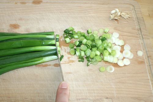 15 - Frühlingszwiebeln in Ringe schneiden / Cut spring onions in rings