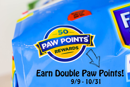 Paw Points
