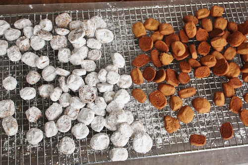 german-pfefferneuse-cookies-peppernuts-recipe