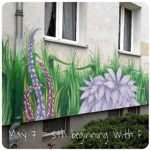 May 7: something beginning with F .. #flower graffiti .. #fmsphotoaday