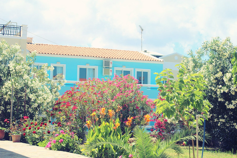 sinisen nallen talo