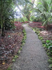 01.19.14 Wahiawa Botanical Garden