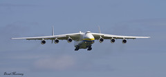 AN-225 Shannon
