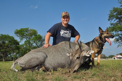 SGT. Fischer and his Nilgai Resize