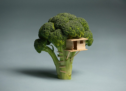 Broccoli House. Brock Davis.