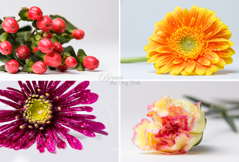 20140119-4UP-floral_btdd