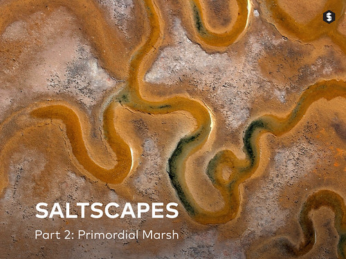 Cover - Saltscapes article on Storehouse