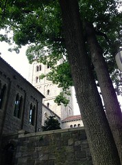 Unicorn Search at Cloisters