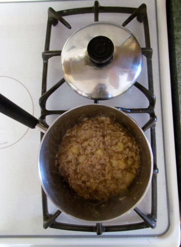 Oats Cooked on the Stove Top