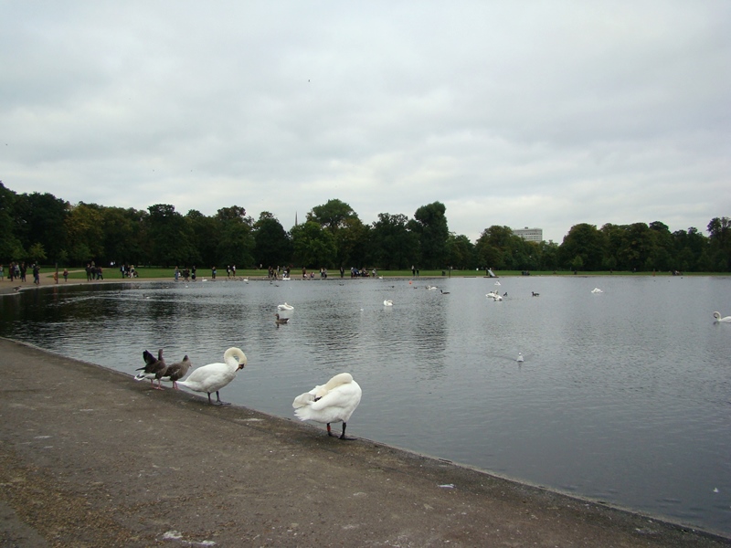 Kensington Gardens Round Pond