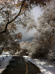 December 27, 2012 b (Provo River Trail/SLC)