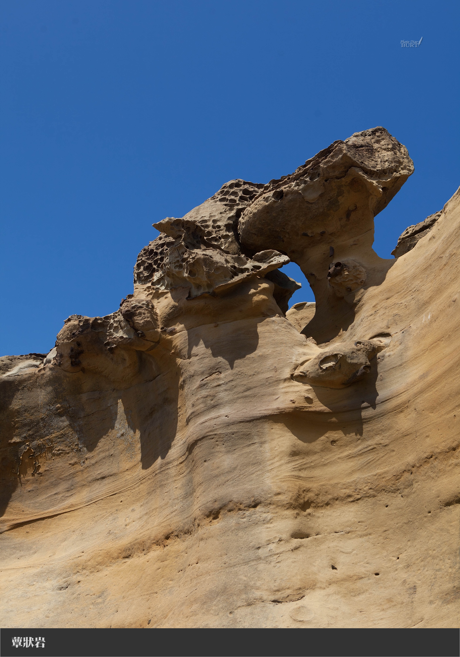 蕈狀岩